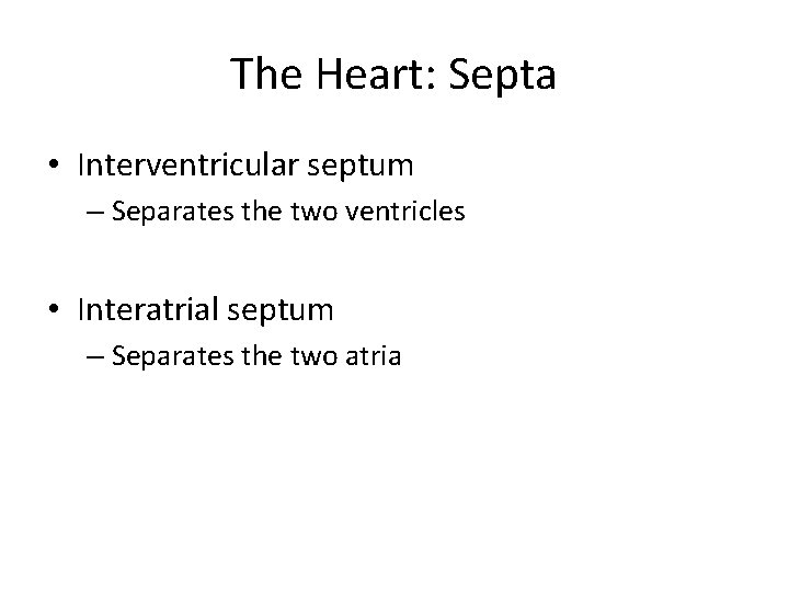 The Heart: Septa • Interventricular septum – Separates the two ventricles • Interatrial septum