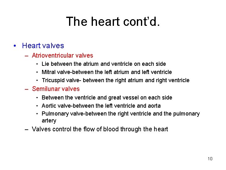 The heart cont’d. • Heart valves – Atrioventricular valves • Lie between the atrium