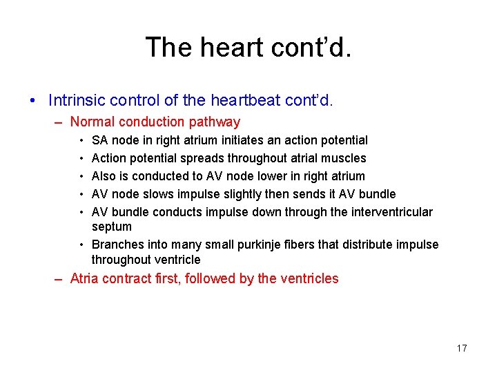 The heart cont’d. • Intrinsic control of the heartbeat cont’d. – Normal conduction pathway