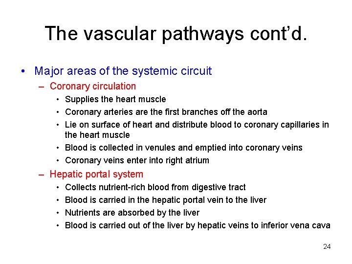 The vascular pathways cont’d. • Major areas of the systemic circuit – Coronary circulation