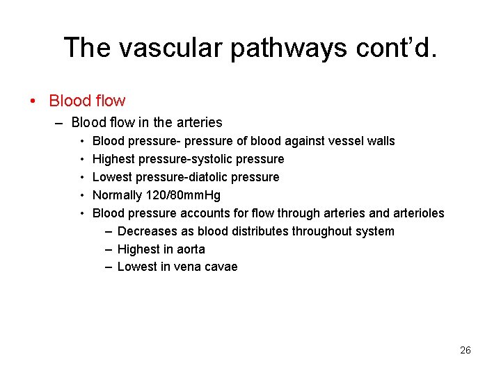 The vascular pathways cont’d. • Blood flow – Blood flow in the arteries •