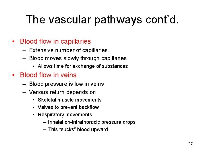 The vascular pathways cont’d. • Blood flow in capillaries – Extensive number of capillaries