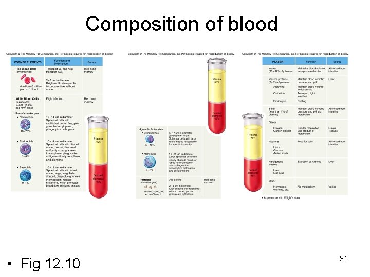 Composition of blood • Fig 12. 10 31 