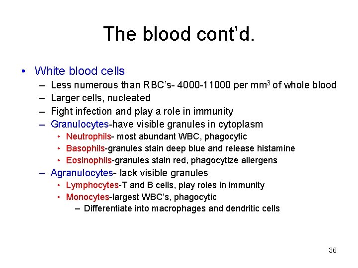 The blood cont’d. • White blood cells – – Less numerous than RBC’s- 4000