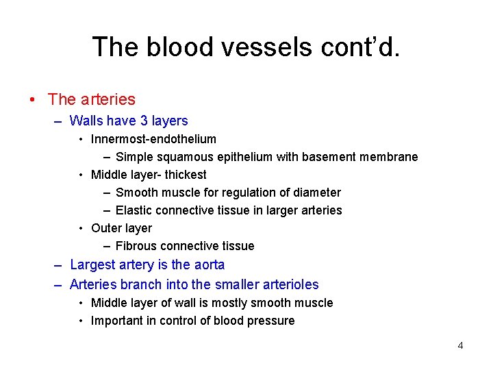 The blood vessels cont’d. • The arteries – Walls have 3 layers • Innermost-endothelium