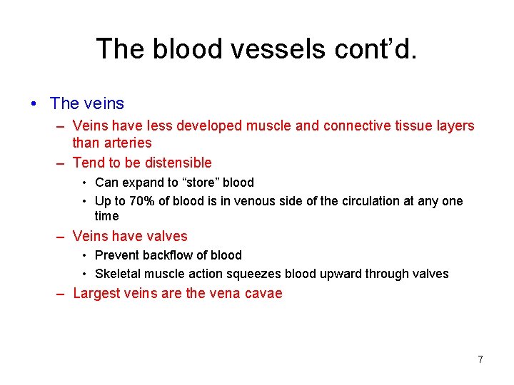 The blood vessels cont’d. • The veins – Veins have less developed muscle and