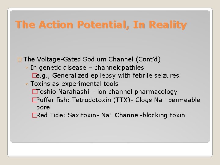 The Action Potential, In Reality � The Voltage-Gated Sodium Channel (Cont’d) ◦ In genetic