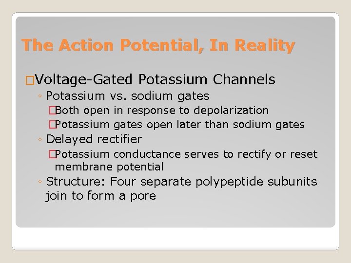 The Action Potential, In Reality �Voltage-Gated Potassium Channels ◦ Potassium vs. sodium gates �Both