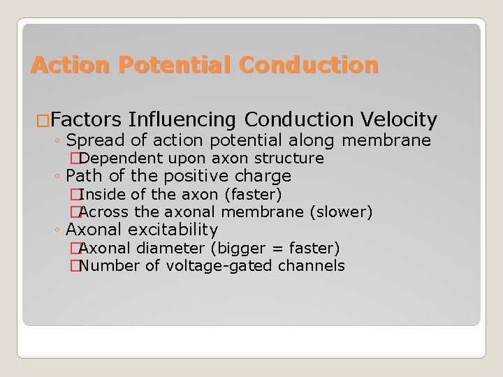 Action Potential Conduction �Factors Influencing Conduction Velocity ◦ Spread of action potential along membrane