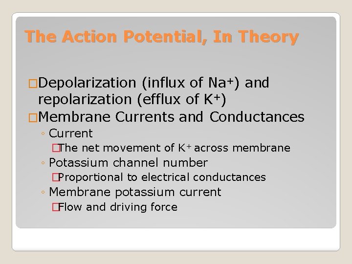 The Action Potential, In Theory �Depolarization (influx of Na+) and repolarization (efflux of K+)