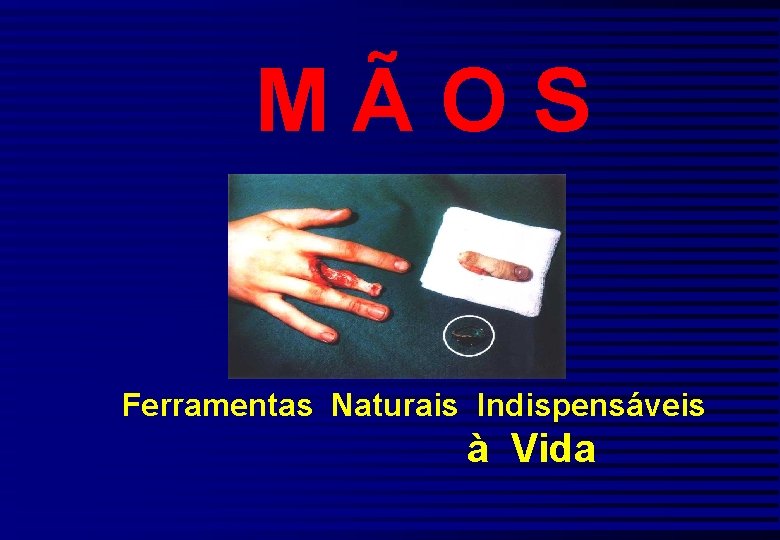 MÃOS Ferramentas Naturais Indispensáveis à Vida 