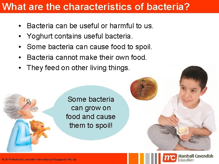 What are the characteristics of bacteria? • • • Bacteria can be useful or