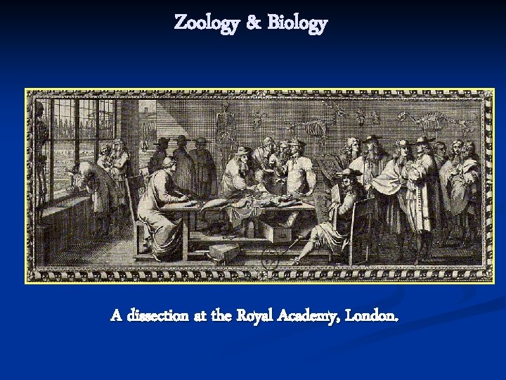 Zoology & Biology A dissection at the Royal Academy, London. 