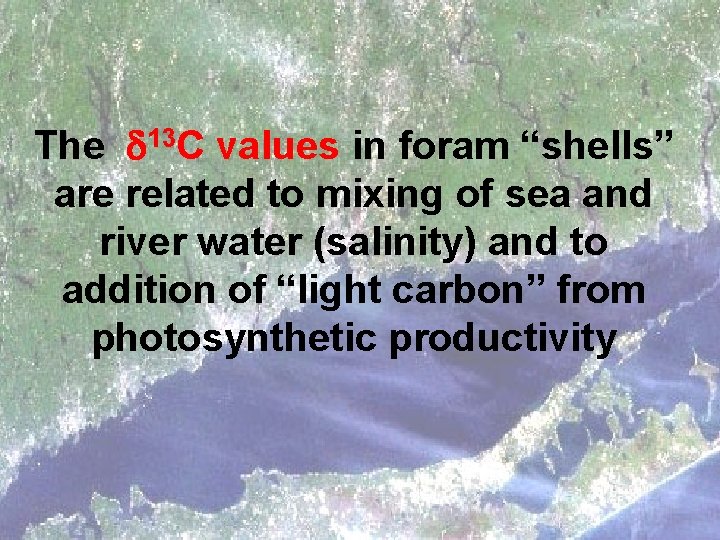 The d 13 C values in foram “shells” are related to mixing of sea