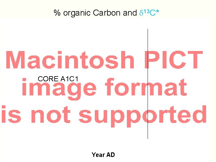 % organic Carbon and d 13 C* CORE A 1 C 1 Year AD