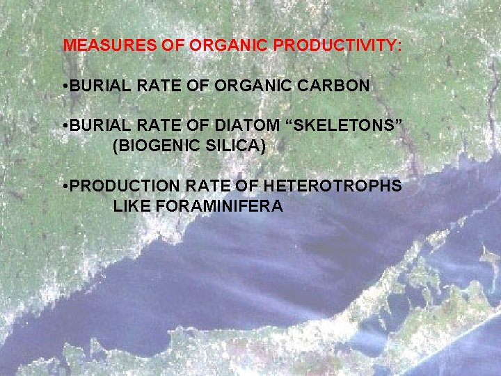 MEASURES OF ORGANIC PRODUCTIVITY: • BURIAL RATE OF ORGANIC CARBON • BURIAL RATE OF