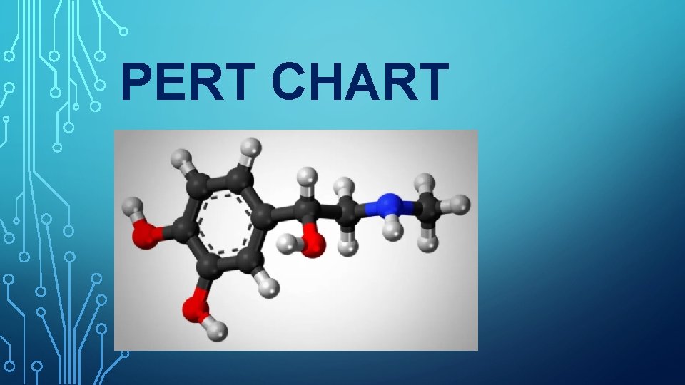 PERT CHART 