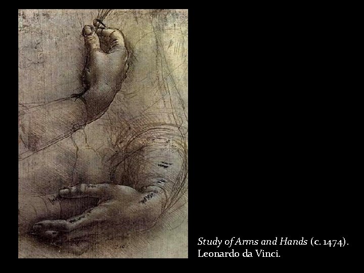 Study of Arms and Hands (c. 1474). Leonardo da Vinci. 