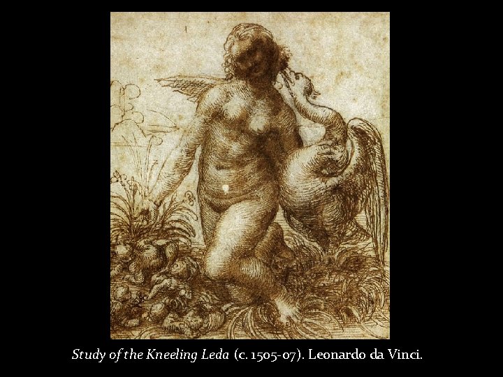 Study of the Kneeling Leda (c. 1505 -07). Leonardo da Vinci. 