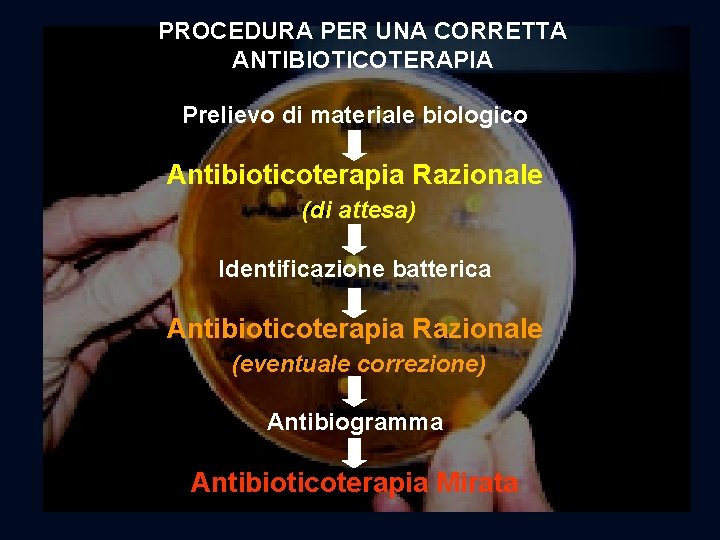 PROCEDURA PER UNA CORRETTA ANTIBIOTICOTERAPIA Prelievo di materiale biologico Antibioticoterapia Razionale (di attesa) Identificazione