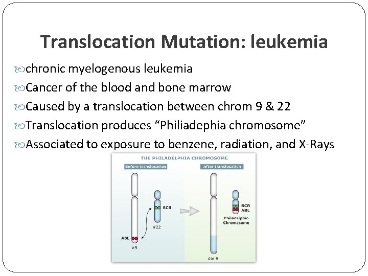 Translocation Mutation: leukemia chronic myelogenous leukemia Cancer of the blood and bone marrow Caused