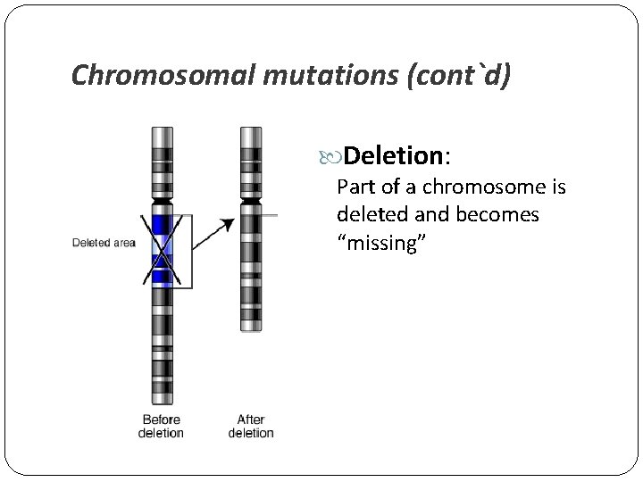 Chromosomal mutations (cont`d) Deletion: Part of a chromosome is deleted and becomes “missing” 