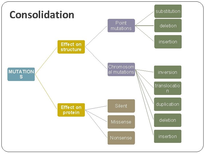 Consolidation substitution Point mutations insertion Effect on structure Chromosom al mutations MUTATION S deletion
