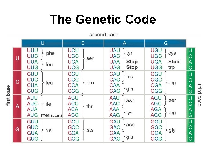 The Genetic Code 