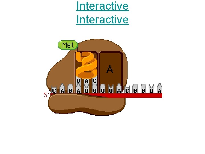 Interactive 