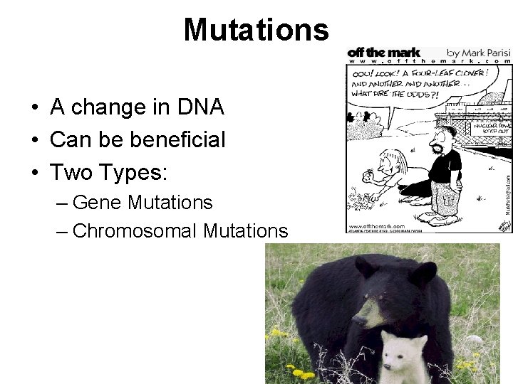 Mutations • A change in DNA • Can be beneficial • Two Types: –