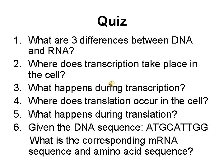 Quiz 1. What are 3 differences between DNA and RNA? 2. Where does transcription