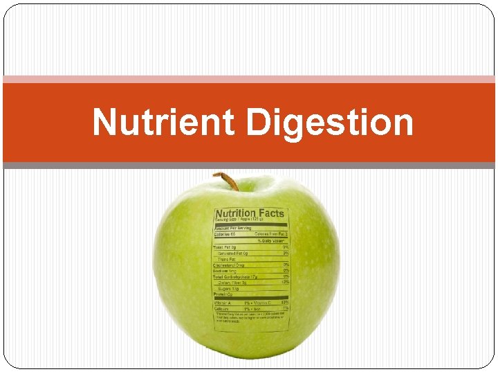 Nutrient Digestion 