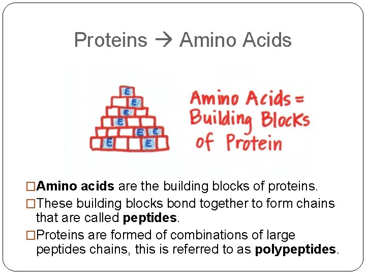 Proteins Amino Acids �Amino acids are the building blocks of proteins. �These building blocks