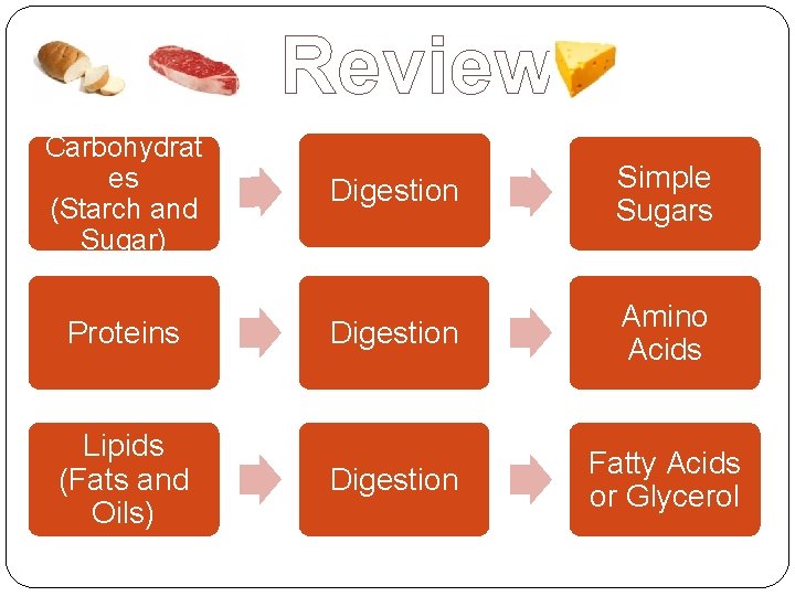 Review Carbohydrat es (Starch and Sugar) Digestion Simple Sugars Proteins Digestion Amino Acids Lipids