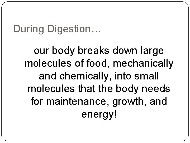 During Digestion… our body breaks down large molecules of food, mechanically and chemically, into