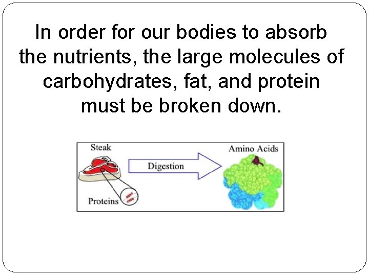 In order for our bodies to absorb the nutrients, the large molecules of carbohydrates,