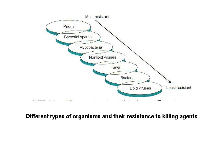 Different types of organisms and their resistance to killing agents 