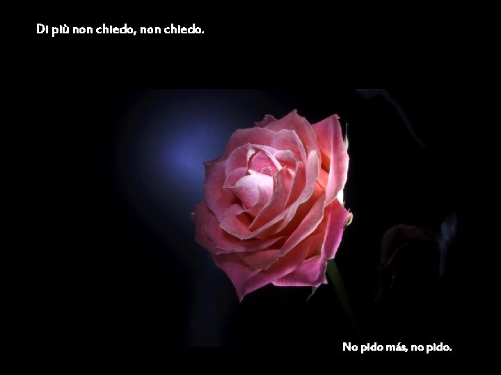 Di più non chiedo, non chiedo. No pido más, no pido. 
