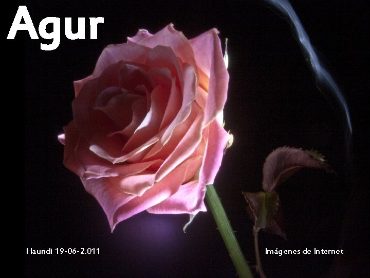 Agur Haundi 19 -06 -2. 011 Imágenes de Internet 