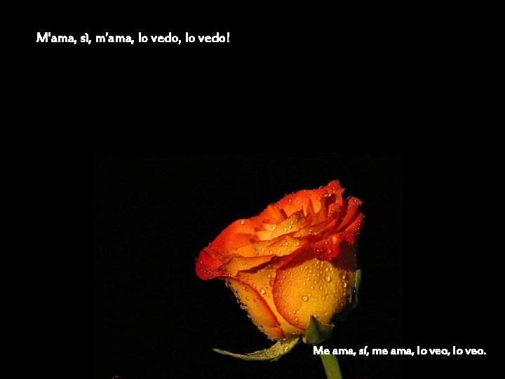 M'ama, sì, m'ama, lo vedo! Me ama, sí, me ama, lo veo. 