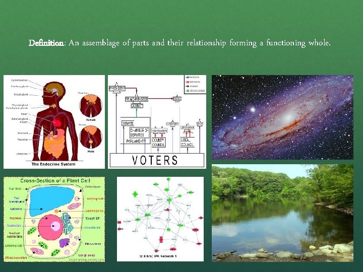 Definition: An assemblage of parts and their relationship forming a functioning whole. 