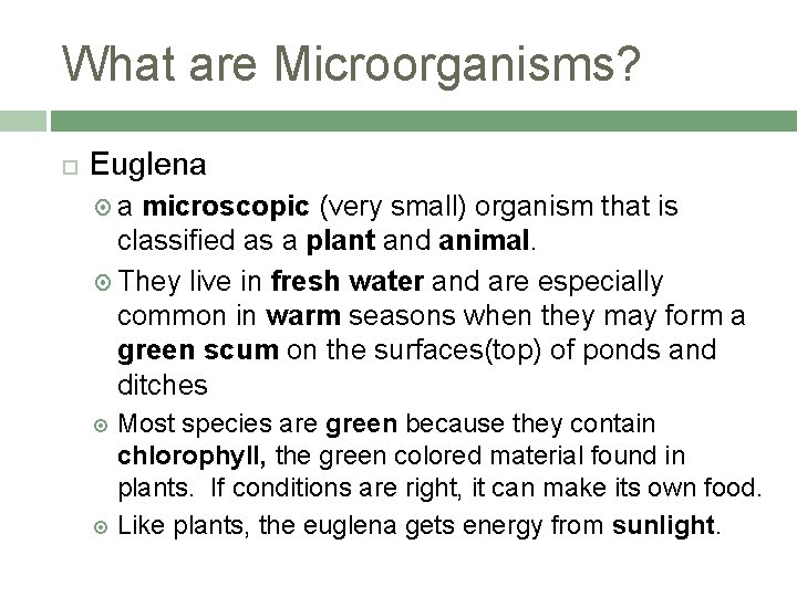 What are Microorganisms? Euglena a microscopic (very small) organism that is classified as a