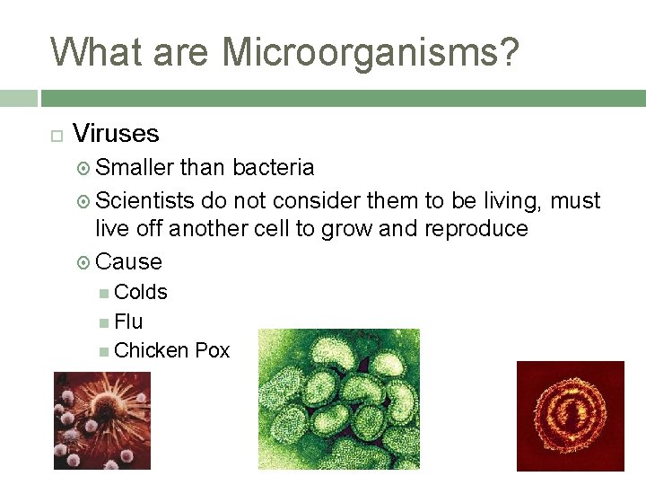 What are Microorganisms? Viruses Smaller than bacteria Scientists do not consider them to be