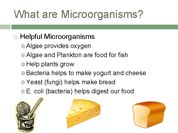 What are Microorganisms? Helpful Microorganisms Algae provides oxygen Algae and Plankton are food for