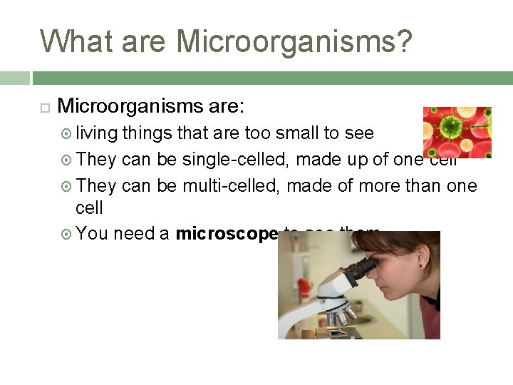 What are Microorganisms? Microorganisms are: living things that are too small to see They