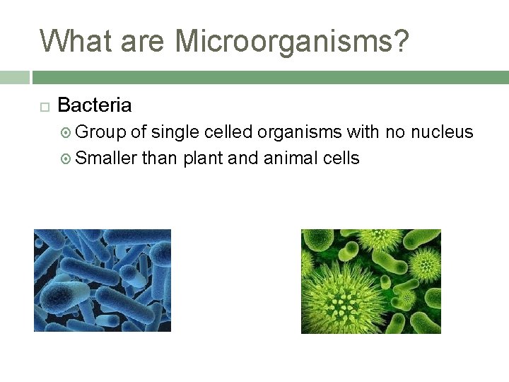 What are Microorganisms? Bacteria Group of single celled organisms with no nucleus Smaller than