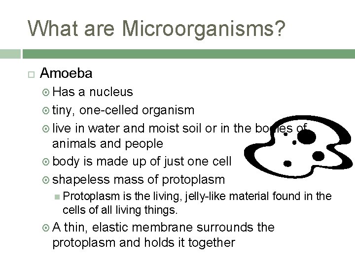 What are Microorganisms? Amoeba Has a nucleus tiny, one-celled organism live in water and