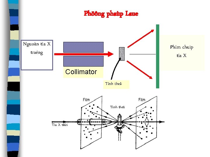 Phöông phaùp Laue Nguoàn tia X traéng Phim chuïp tia X Collimator Tinh theå