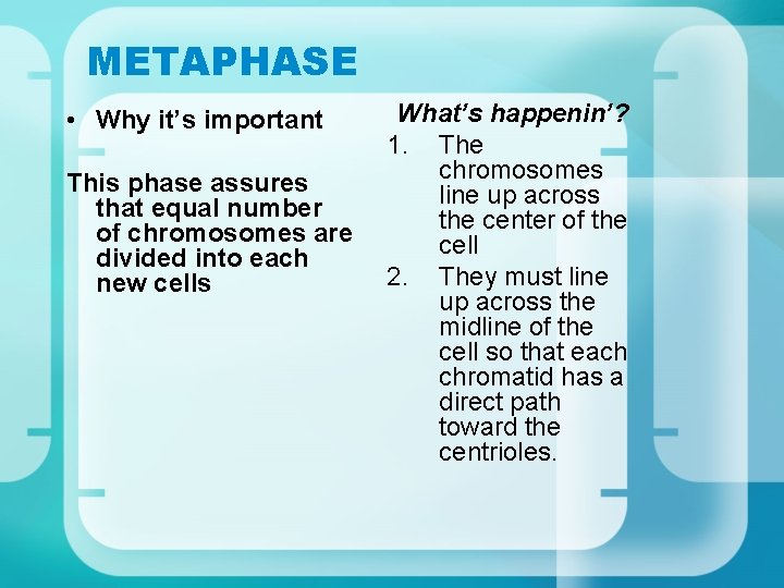 METAPHASE • Why it’s important This phase assures that equal number of chromosomes are