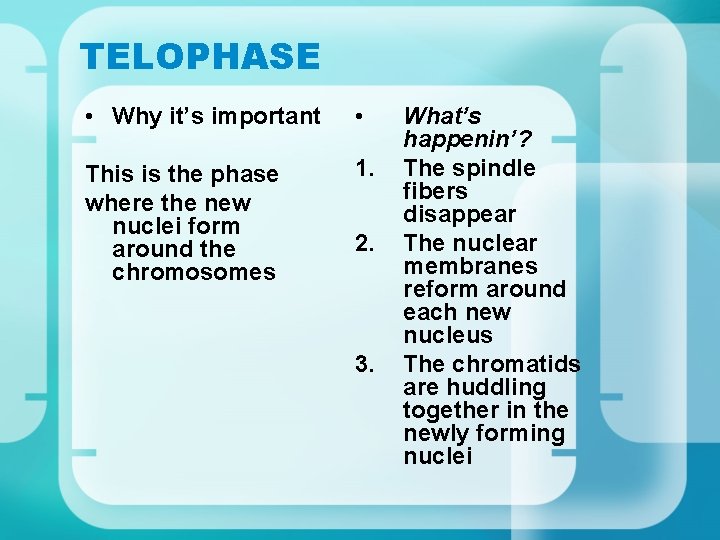 TELOPHASE • Why it’s important • This is the phase where the new nuclei